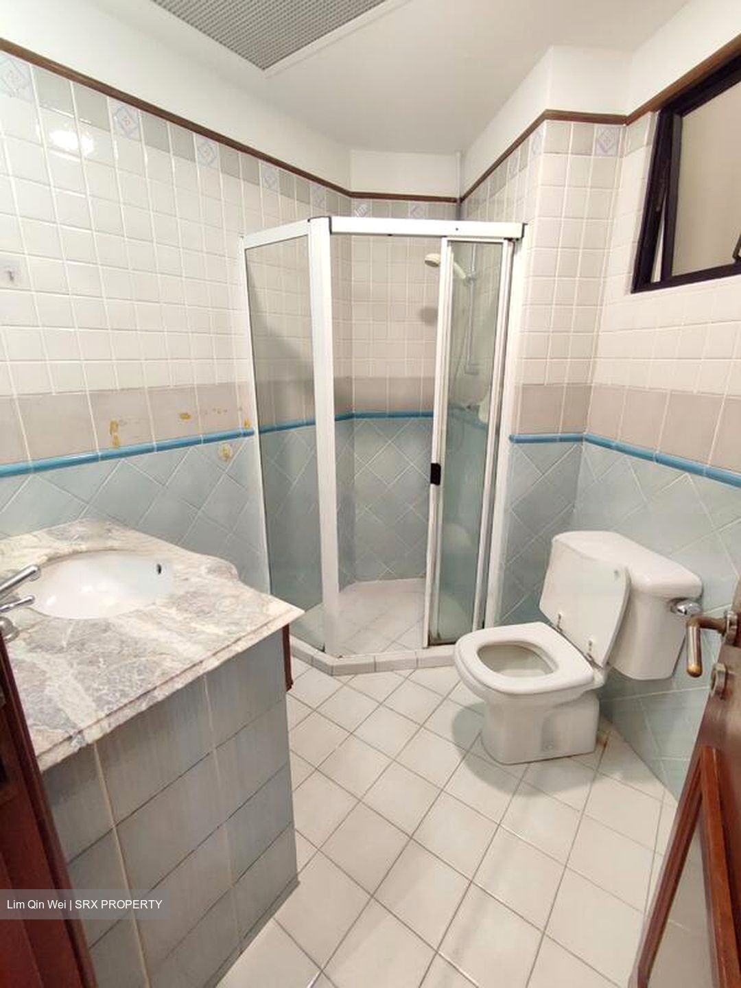 Dover Parkview (D5), Condominium #475190851